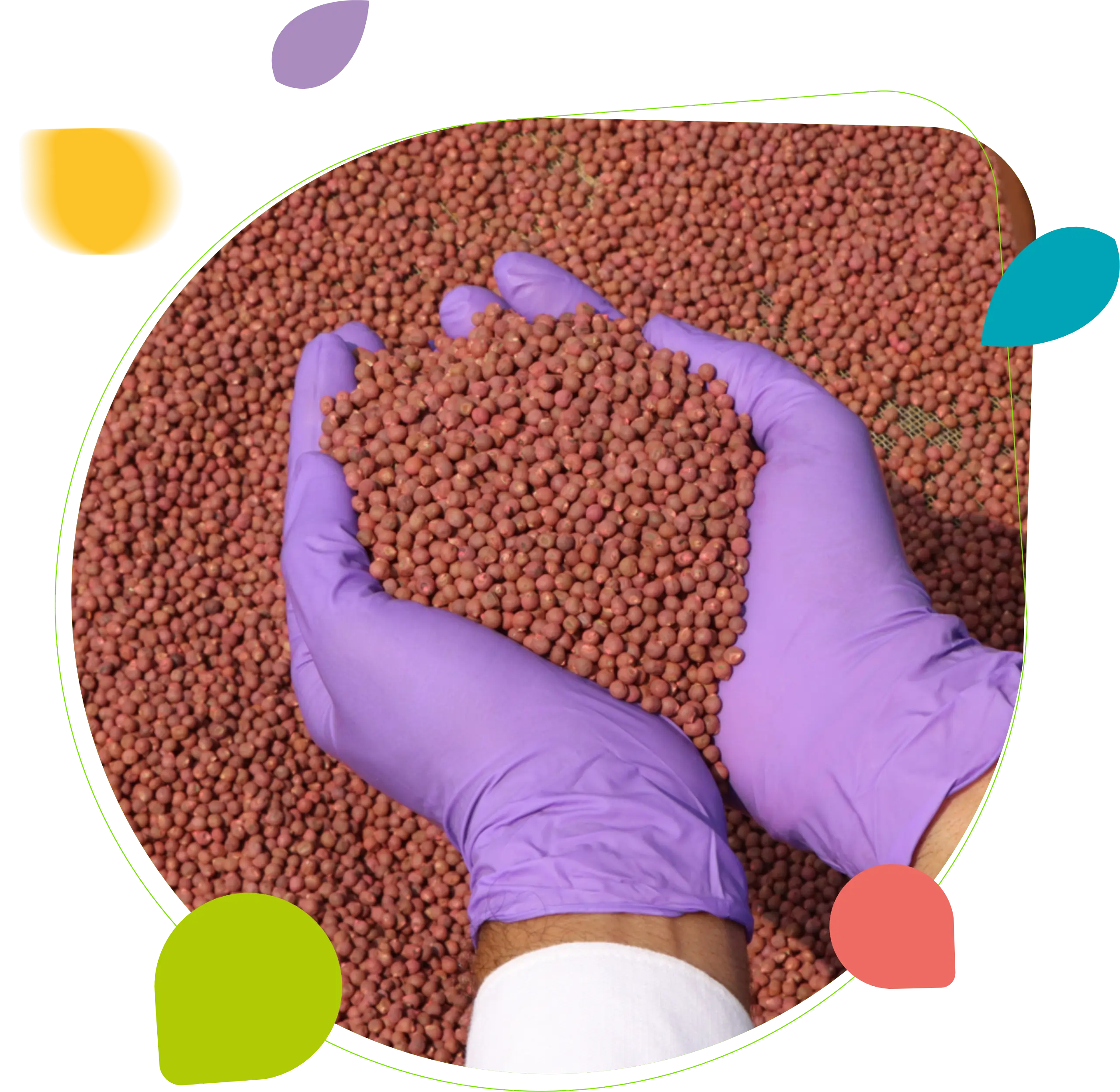 Solutions for Farmers, Value for Dealers and Partners