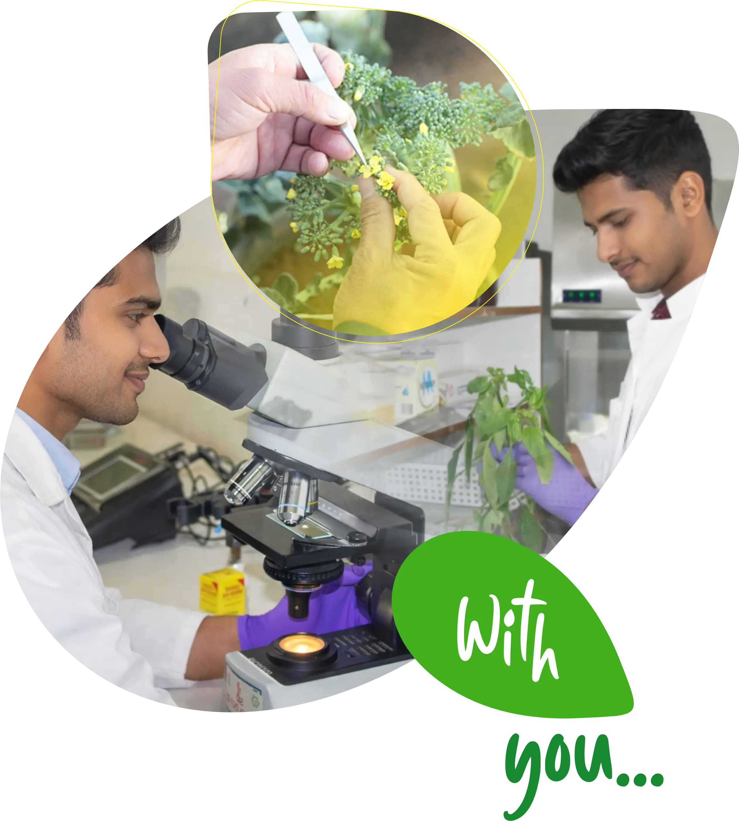 Solutions for Farmers, Value for Dealers and Partners