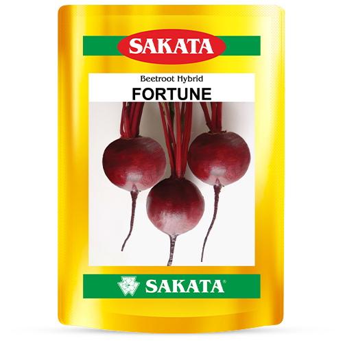 F1 Fortune