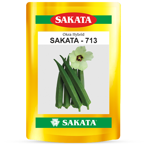 F1 Sakata 713