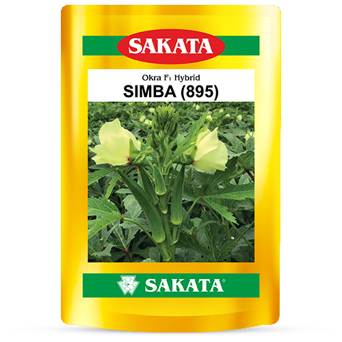 F1 SIMBA 895