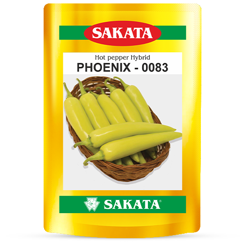 F1 Phoenix 83