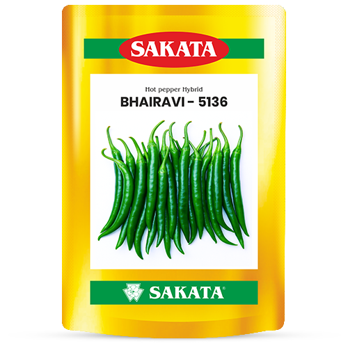 F1 Bhairavi 5136