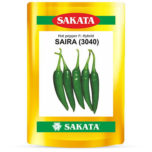 F1 Saira 3040