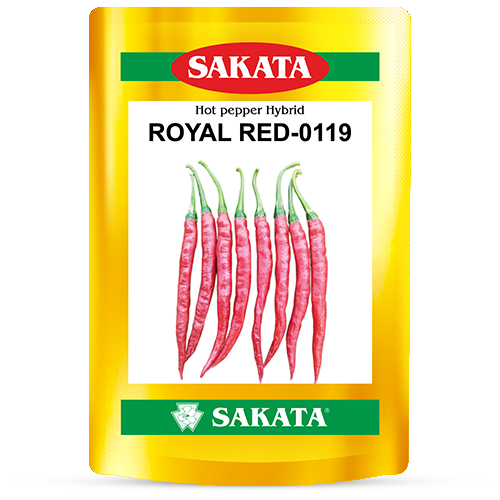 F1 Royal Red 0119