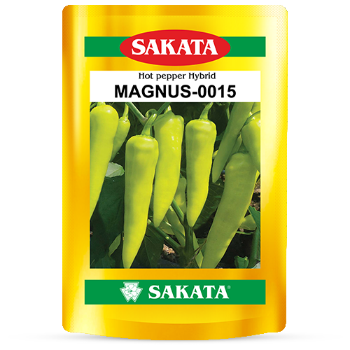 F1 Magnus 0015