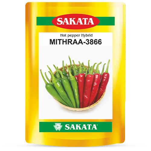 F1 Mithraa 3866