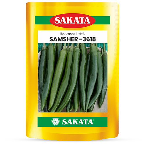Samsher 3618