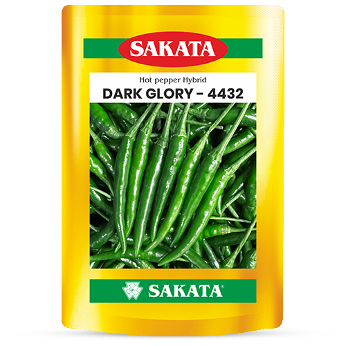 F1 Dark Glory 4432