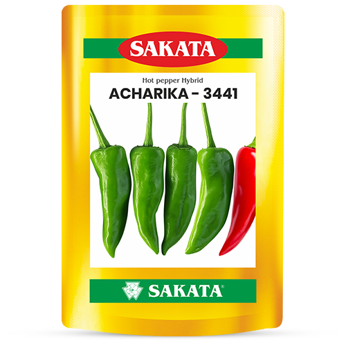 F1 Acharika 3441