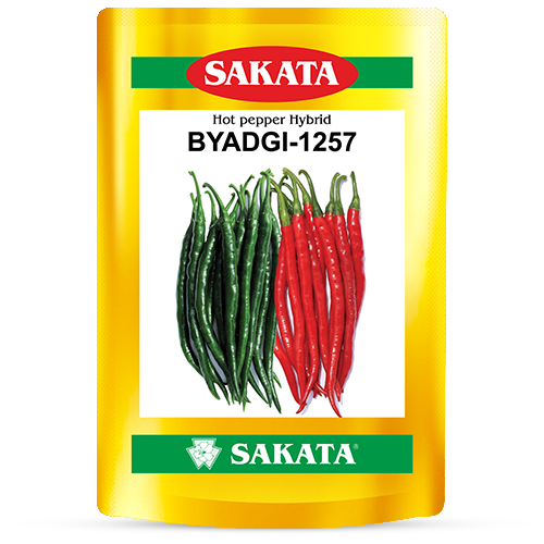 F1 BYADGI 1257