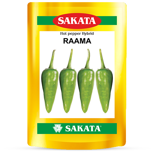 F1 Raama 0012