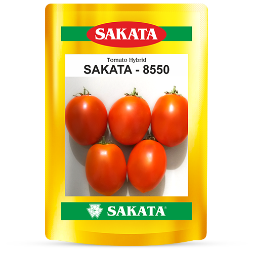 F1 Sakata 8550