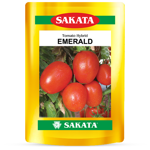F1 EMERALD 4001