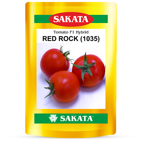 F1 RED ROCK 1035