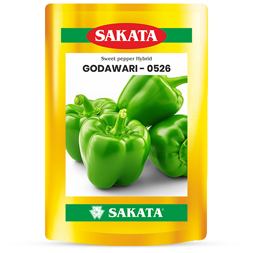 F1 Godavari 0526