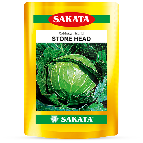F1 Stone Head