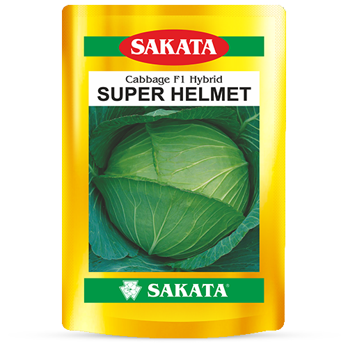 F1 Super Helmet