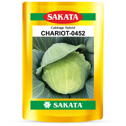 F1 Chariot 0452