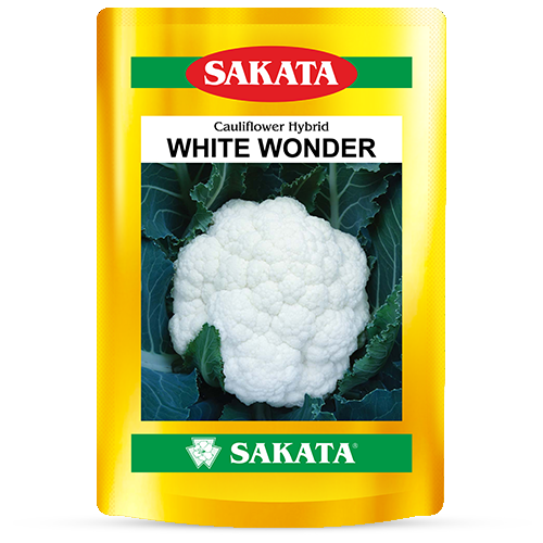 F1 White Wonder