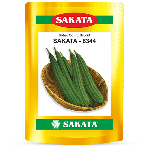 F1 Sakata 8344