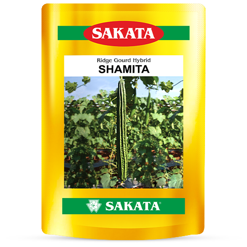 F1 Shamita