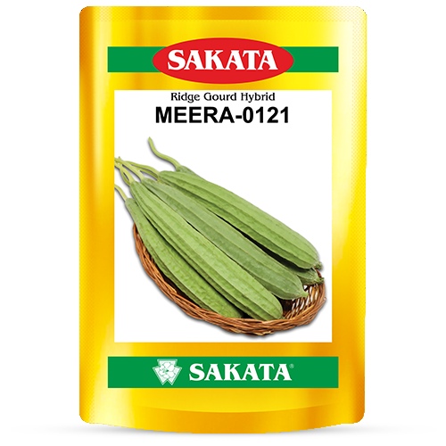 F1 Meera 0121