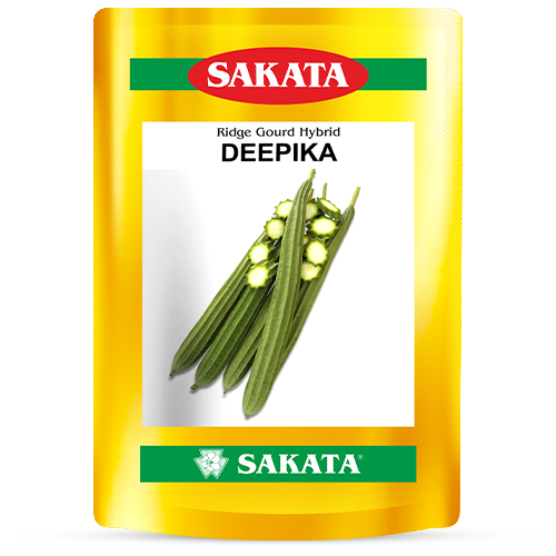 F1 Deepika 8302