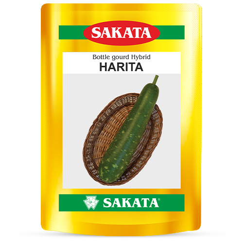 F1 Harita 8003
