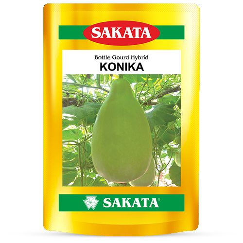 F1 Konika 8013
