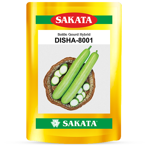 F1 Disha 8001