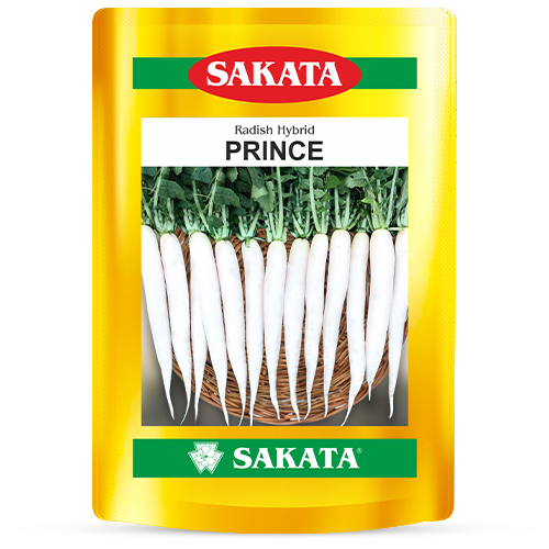 F1 Prince