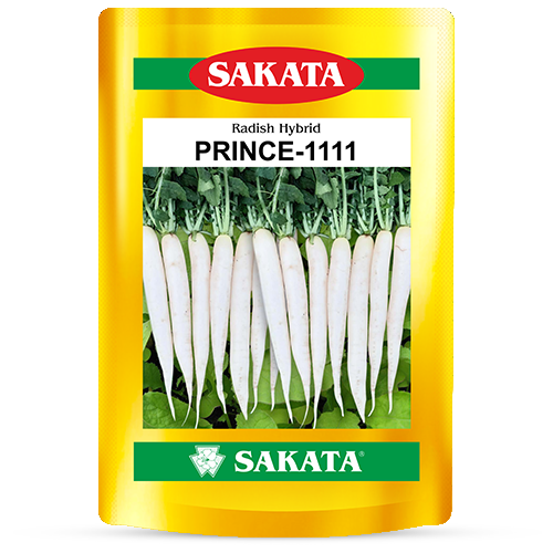 F1 Prince 1111
