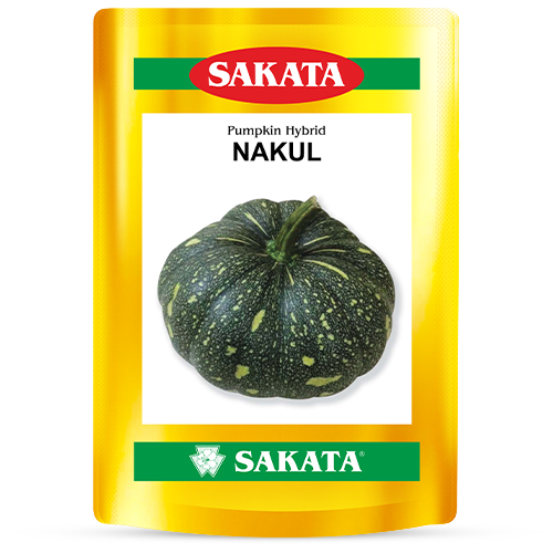 F1 Nakul