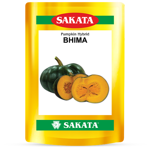 F1 Bhima