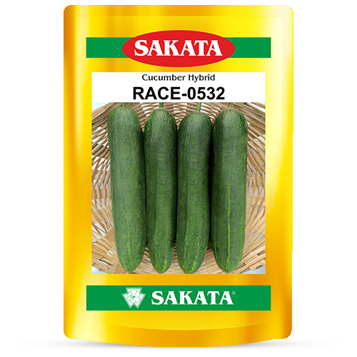 F1 Race 0532