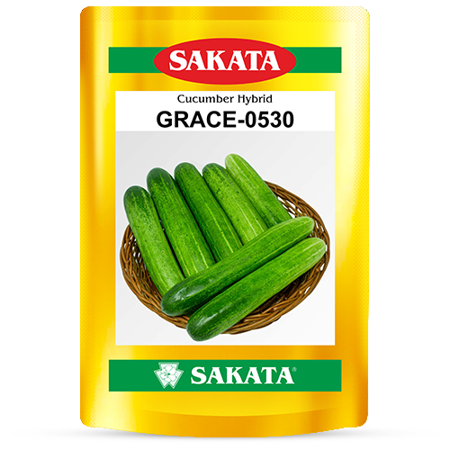 F1 Grace 0530