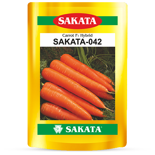 F1 Sakata 042