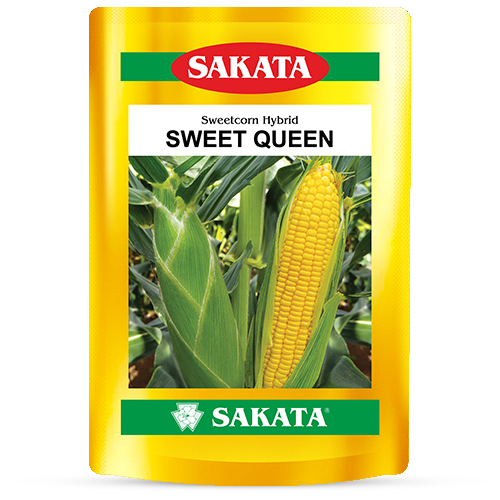 F1 Sweet Queen 0174