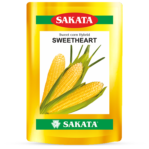 F1 Sweet Heart