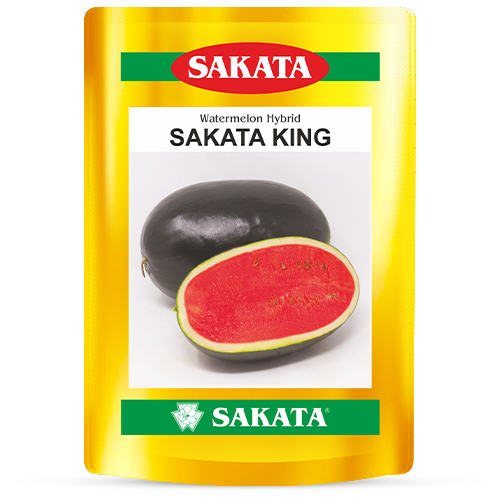 F1 Sakata King