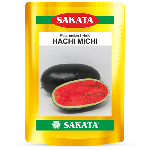 F1 Hachi Michi