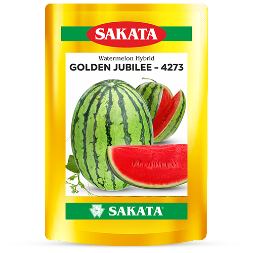 F1 Golden Jubilee 4273