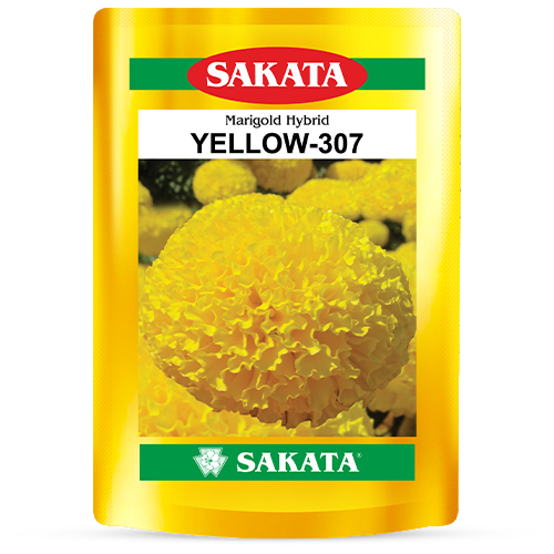 F1 Yellow 307