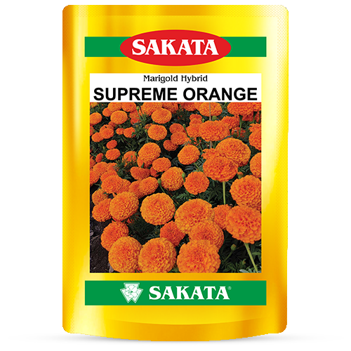 F1 SUPREME ORANGE