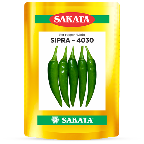 F1 Sipra 4030