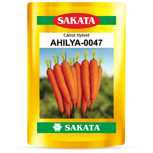 F1 Ahilya 0047