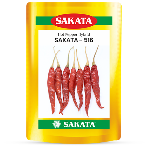 F1 Sakata 516