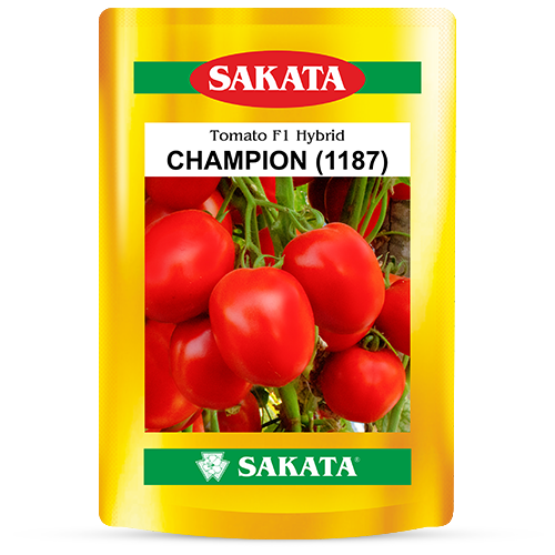 F1 Champion 1187