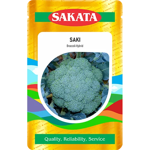 F1 Saki